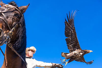 Spectacle d'oiseau et de chevaux à Provins