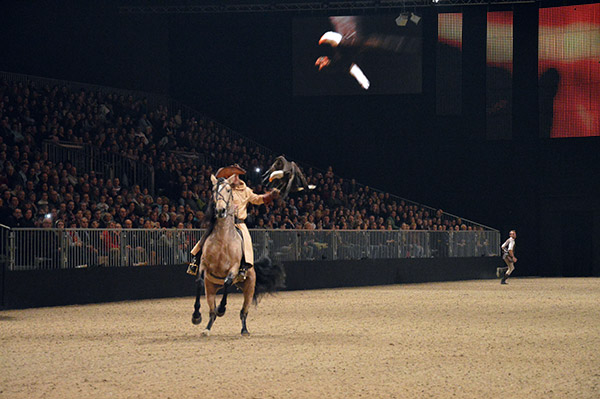 Spectacle équestre