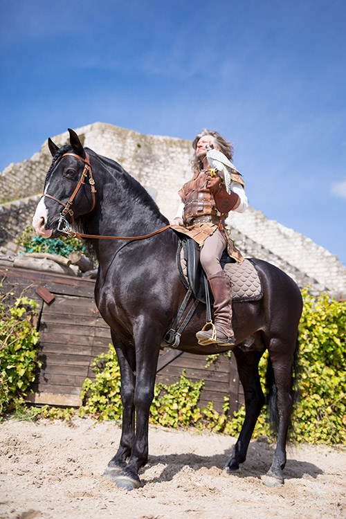 fauconnier sur son cheval