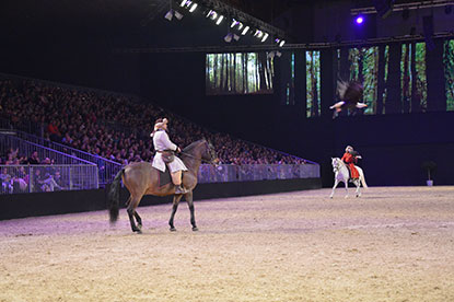 spectacle-equestre-et-de-fauconnerie