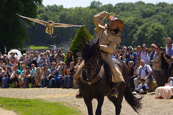 Spectacle de Fauconnerie équestre