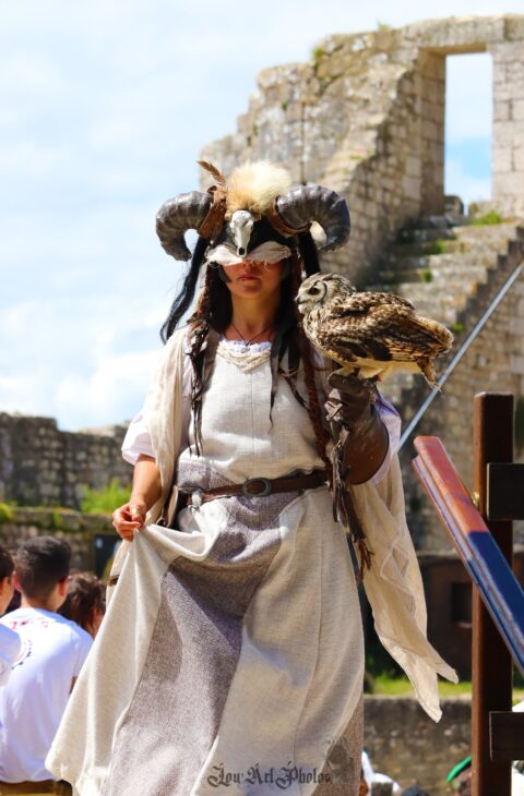 Aigles des Remparts-Provins ©Lou Art Photos