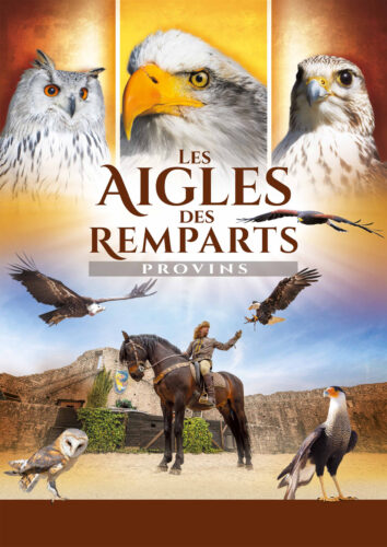 Aigles-des-remparts-Provins_vierge Les Aigles des Remparts à Provins Photo S. Danis / Vol Libre