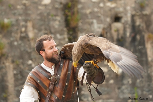 Les Aigles des Remparts à Provins Photo S. Danis / Vol Libre