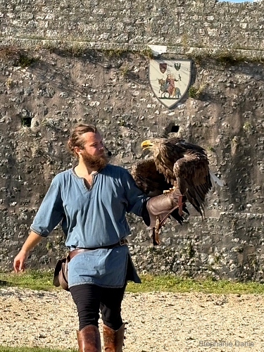Aigle-Provins Les Aigles des Remparts à Provins Photo S. Danis / Vol Libre