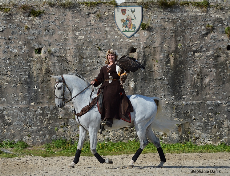 Les Aigles des Remparts à Provins Photo S. Danis / Vol Libre