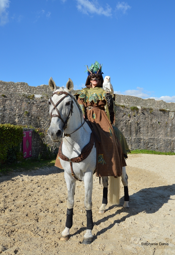 Les Aigles des Remparts à Provins