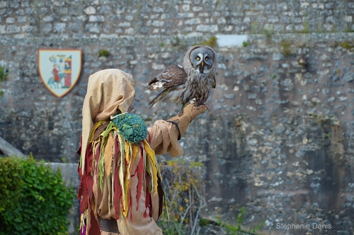 Les Aigles des Remparts à Provins Photo S. Danis / Vol Libre