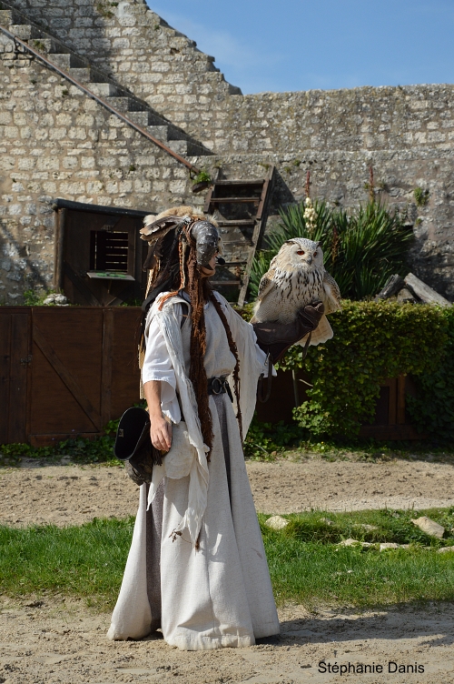 Les Aigles des Remparts à Provins Photo S. Danis / Vol Libre