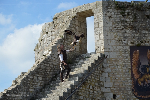 Les Aigles des Remparts à Provins Photo S. Danis / Vol Libre