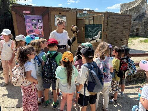 Accueil groupes à la volerie de Provins