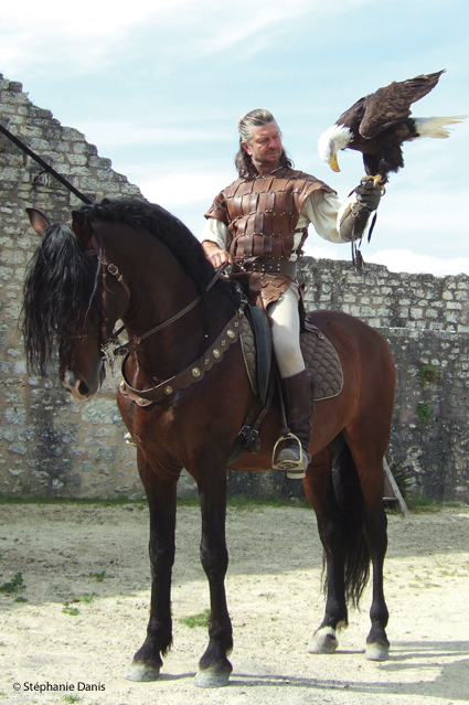 aigles des remparts_Provins Les Aigles des Remparts à Provins Photo S. Danis / Vol Libre