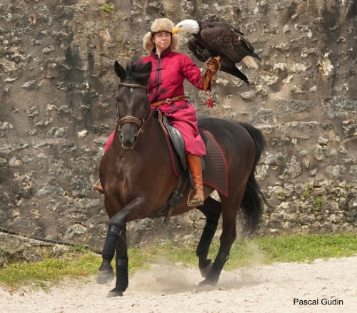 Les Aigles des Remparts à Provins Photo S. Danis / Vol Libre